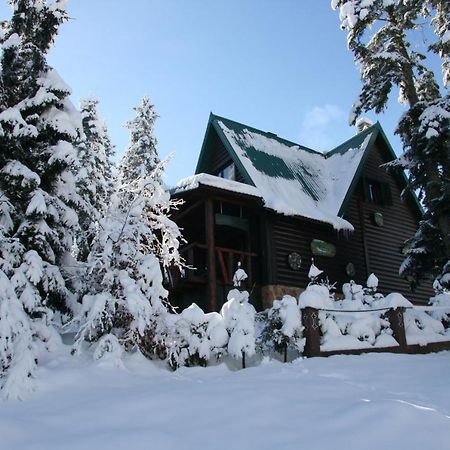 Durmitor Chalet Žabljak Extérieur photo