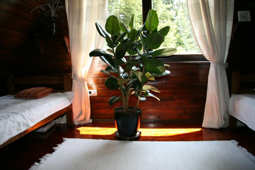 Durmitor Chalet Žabljak Extérieur photo