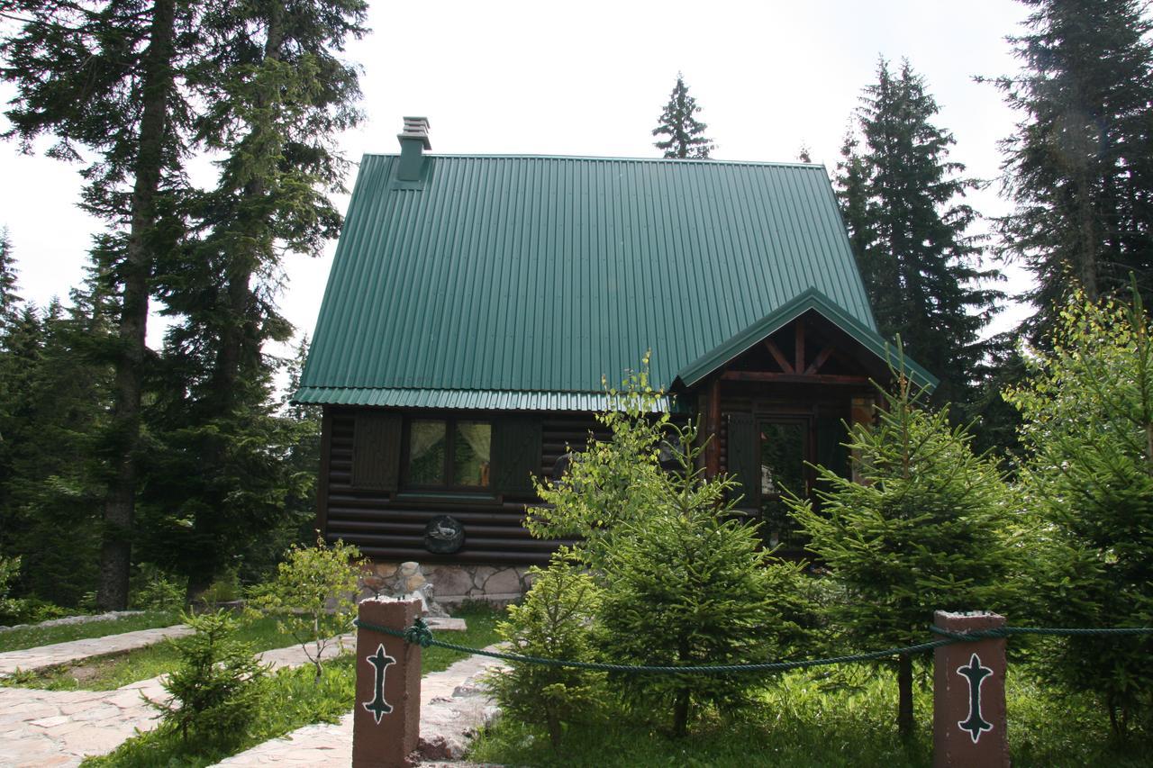Durmitor Chalet Žabljak Extérieur photo
