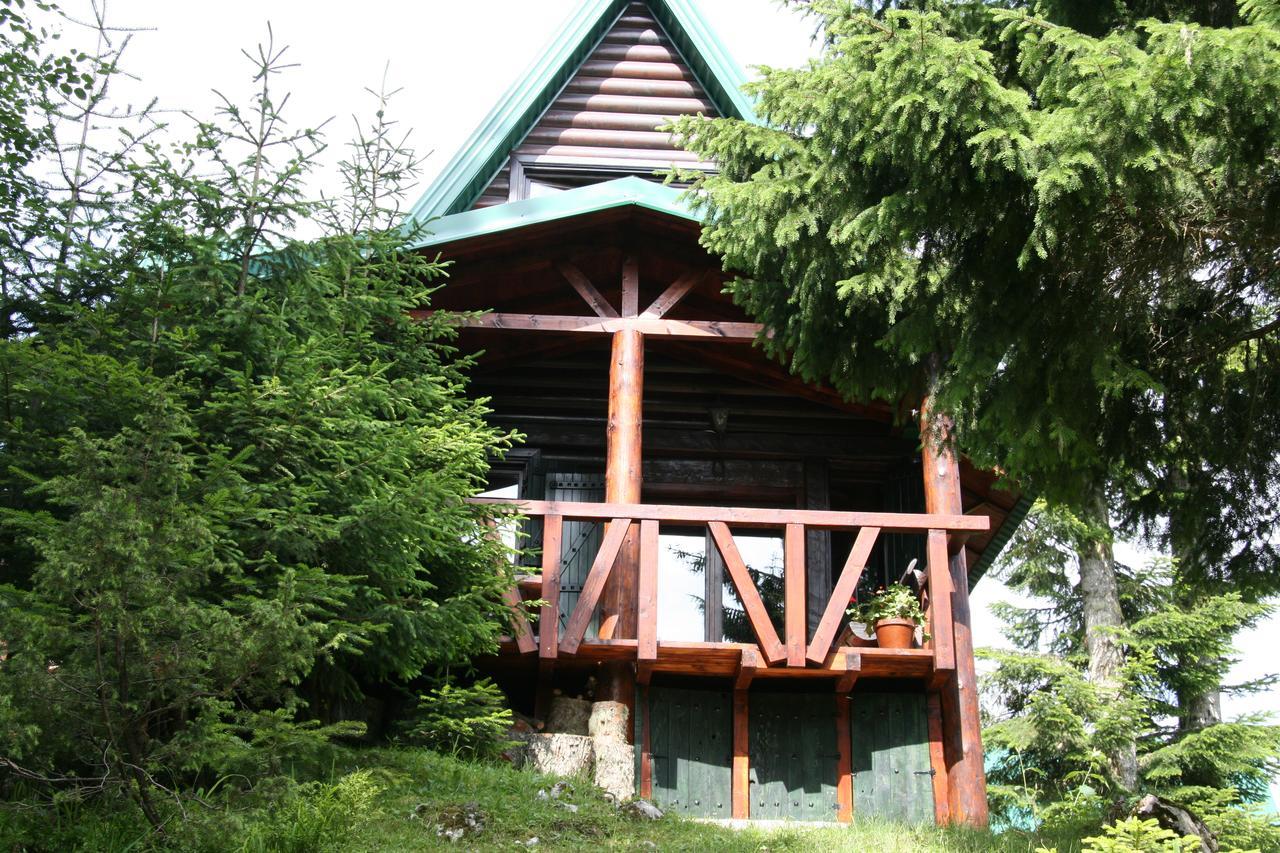 Durmitor Chalet Žabljak Extérieur photo