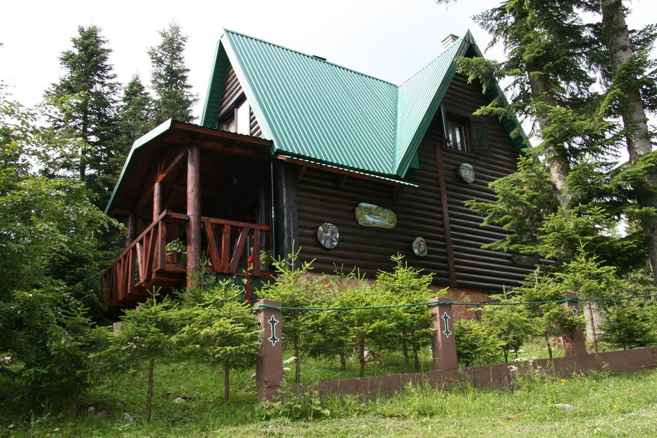 Durmitor Chalet Žabljak Extérieur photo