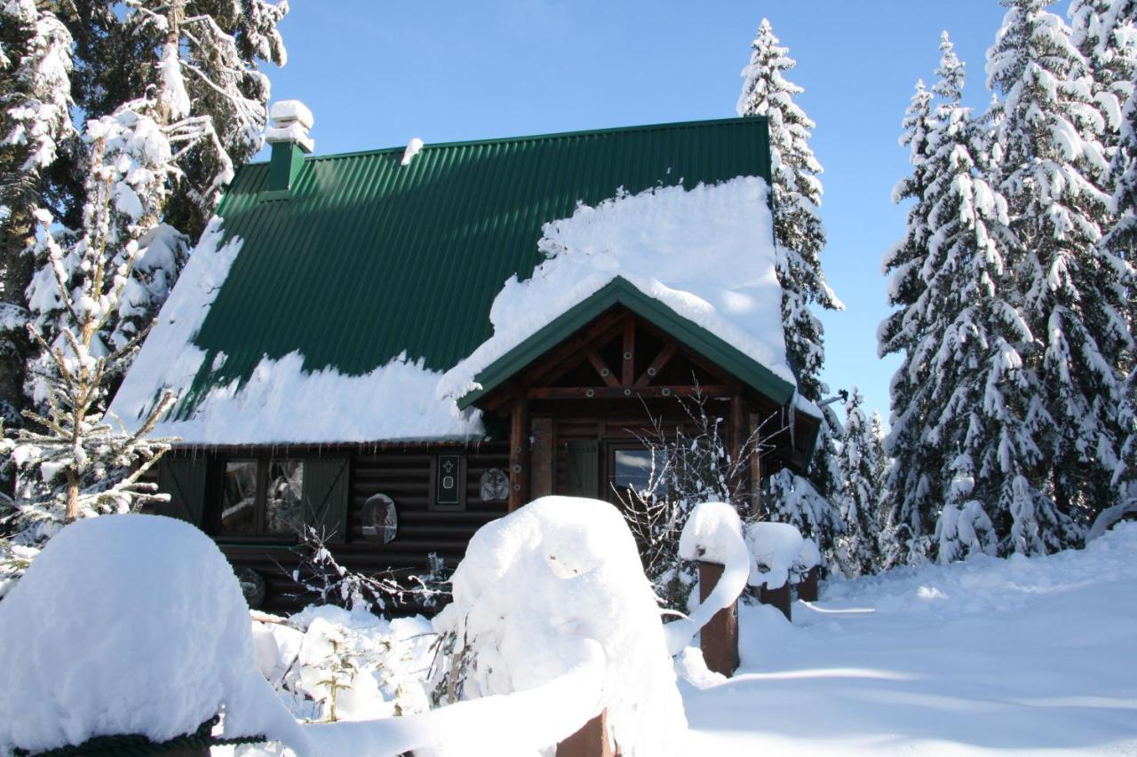 Durmitor Chalet Žabljak Extérieur photo